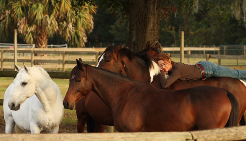 Karen and her horses