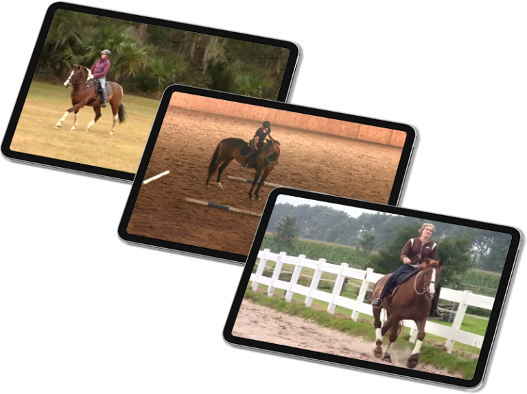 Free Dressage Training Videos Dressage Naturally with Karen Rohlf