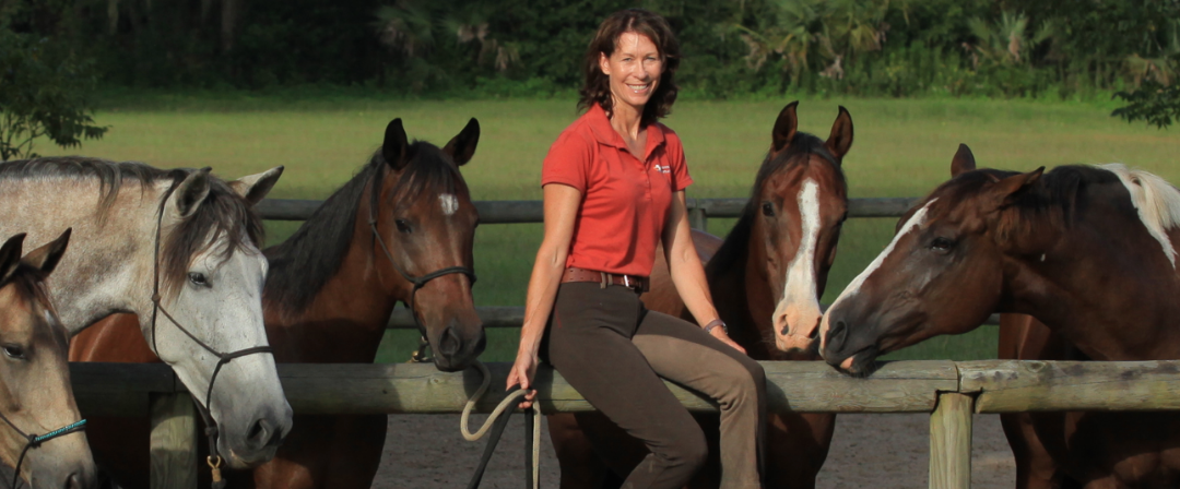 Stories Of Training Dressage With & Without Bits