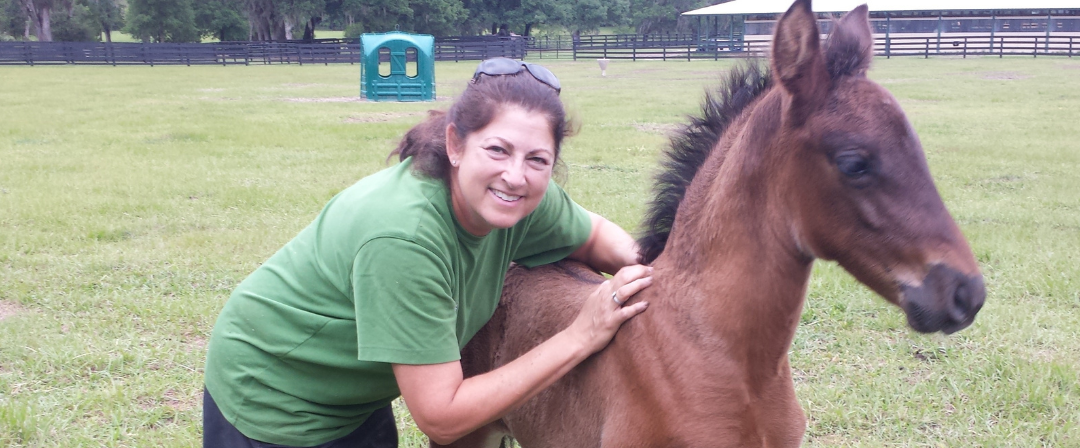 EP038: Sharon Madere – Breeding and Raising Happy Horses