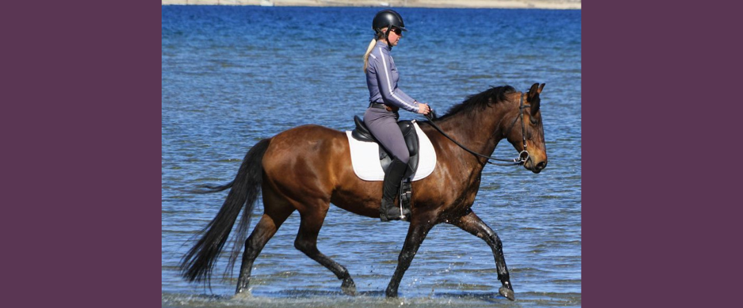 EP134: About Dressage Naturally Clinics with Michelle Young