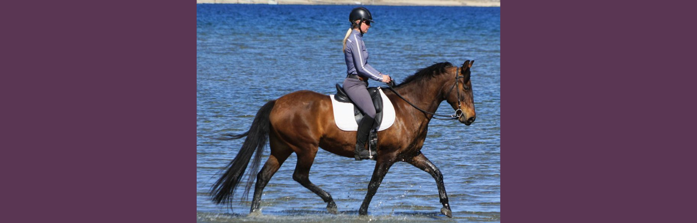 About Dressage Clinics with Michelle Young