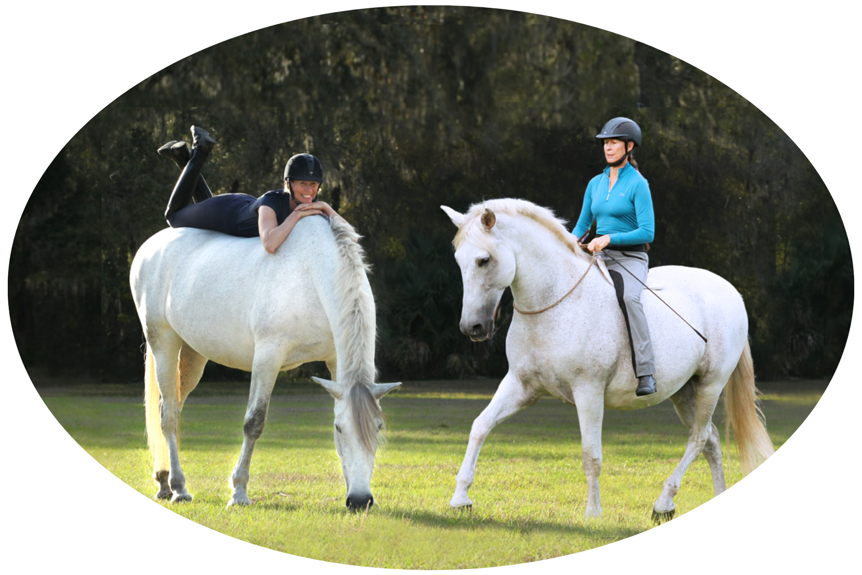 Dressage Naturally Online Horsemanship Programs | Karen Rohlf Online Horsemanship Programs