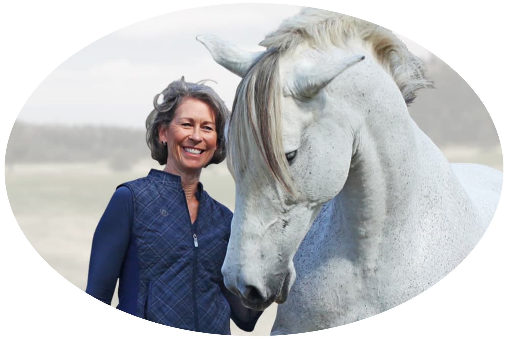 Karen Rholf's dressage programs | Karen Rholf's natural horsemanship programs