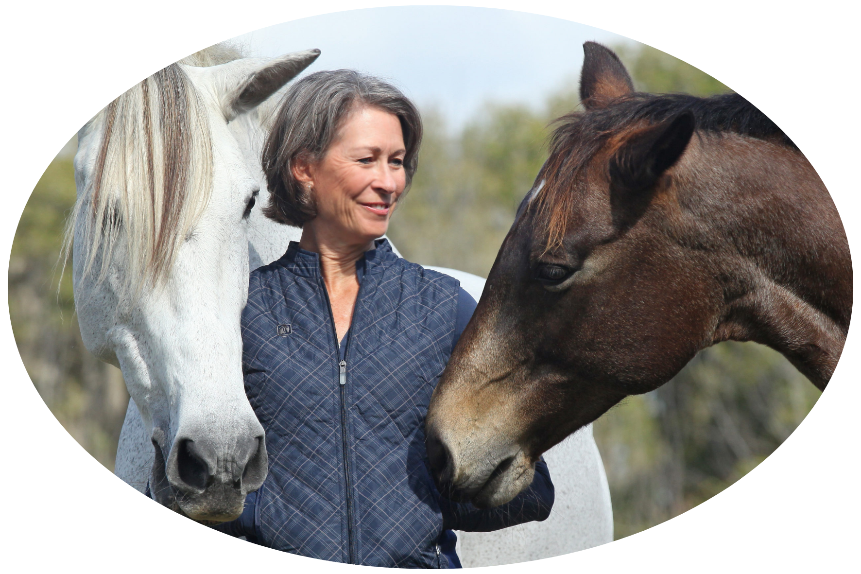 Karen Rohlf's happy horses