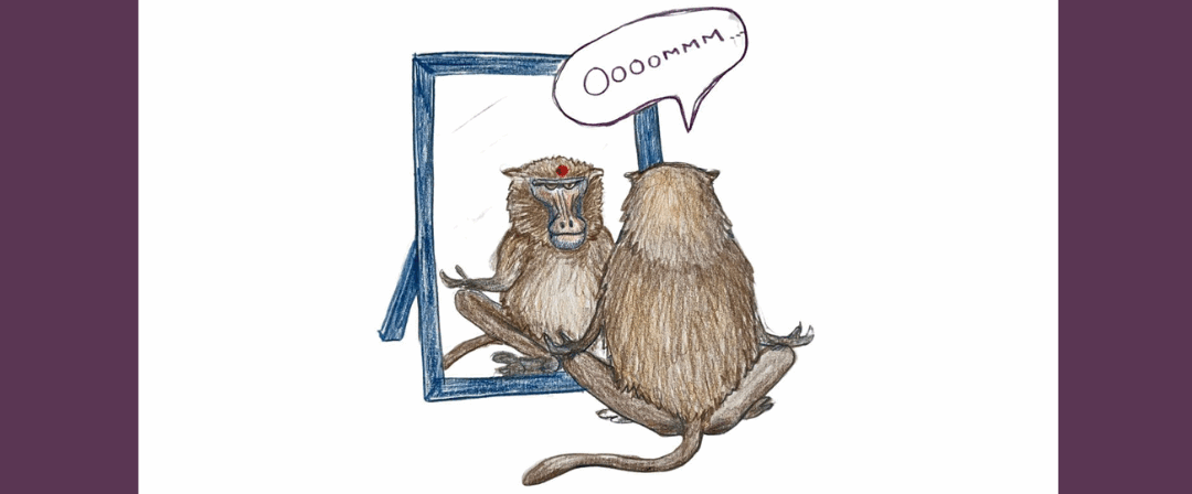 EP226: Animal Consciousness, A Fable
