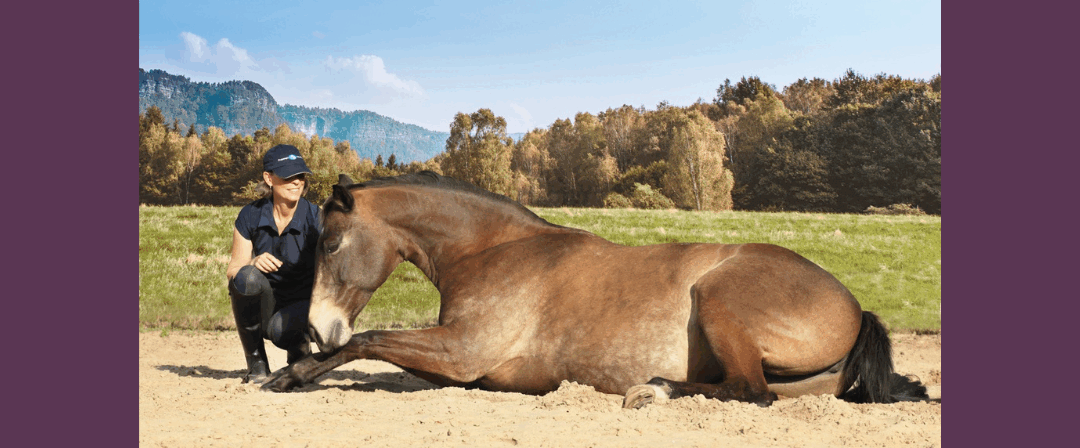 EP227: Stopping Riding