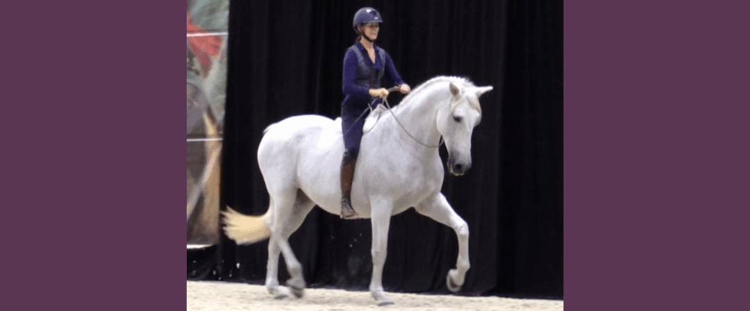 EP231: You or The Horse?