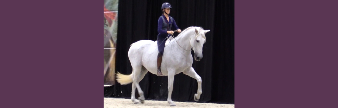 You or the horse?