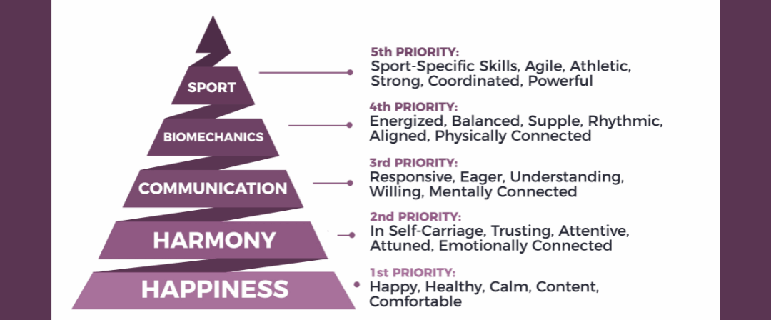 EP234: Reintroduction: Happy Athlete Training Scale