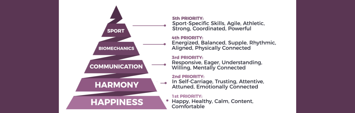 Happy Athlete Training Scale.