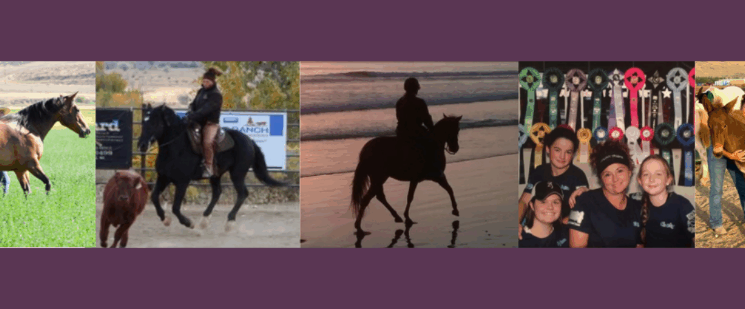 EP235: Chat with DN Instructor Niki Wilde Broadhead