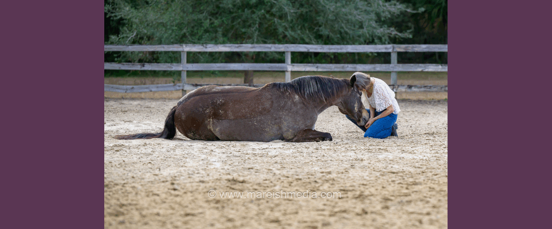 EP246: My Horse is Perfect