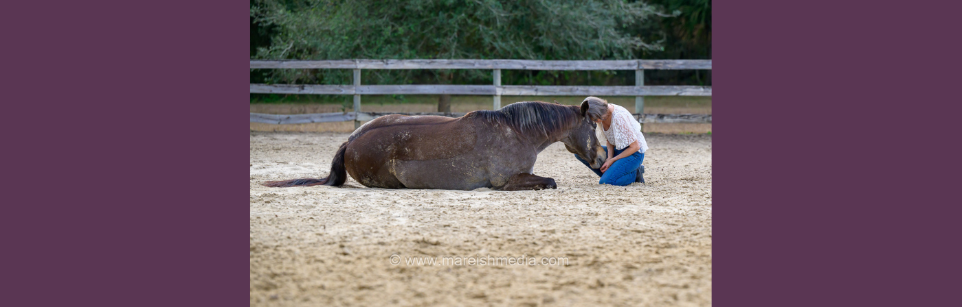 EP246: My Horse is Perfect