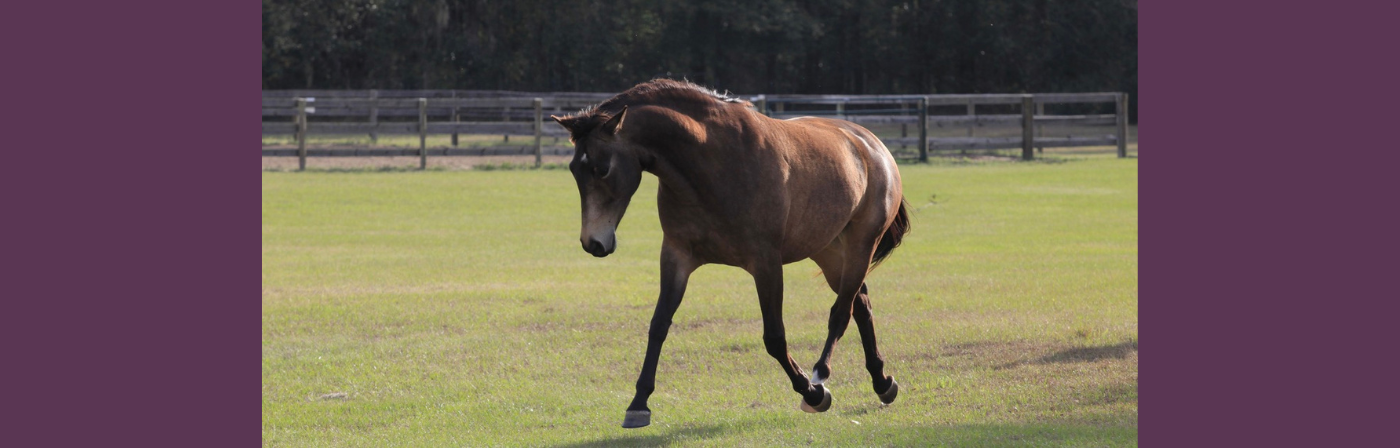 exuberance or trouble?