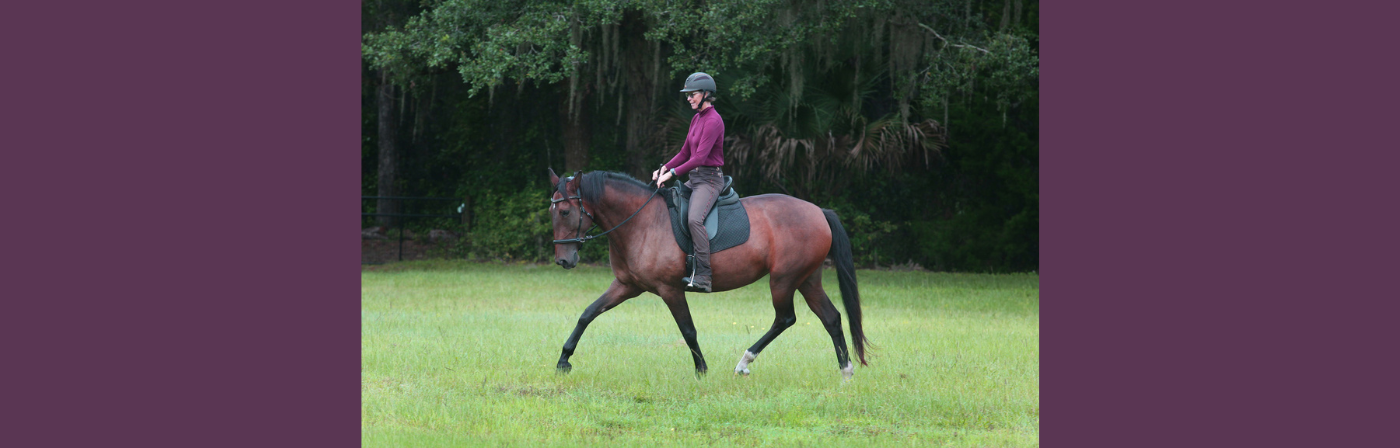 When Your Horse Knows Best