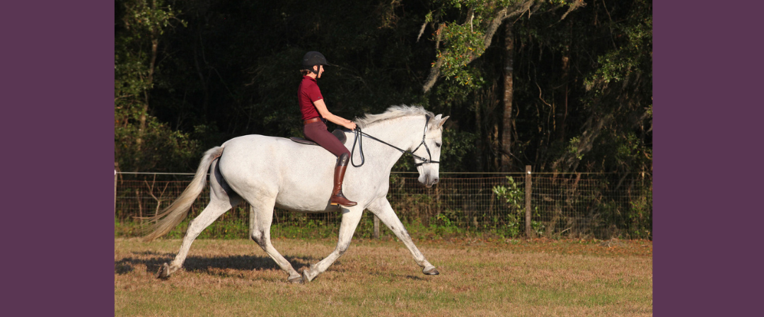 EP255: Using the Happy Athlete Training Scale