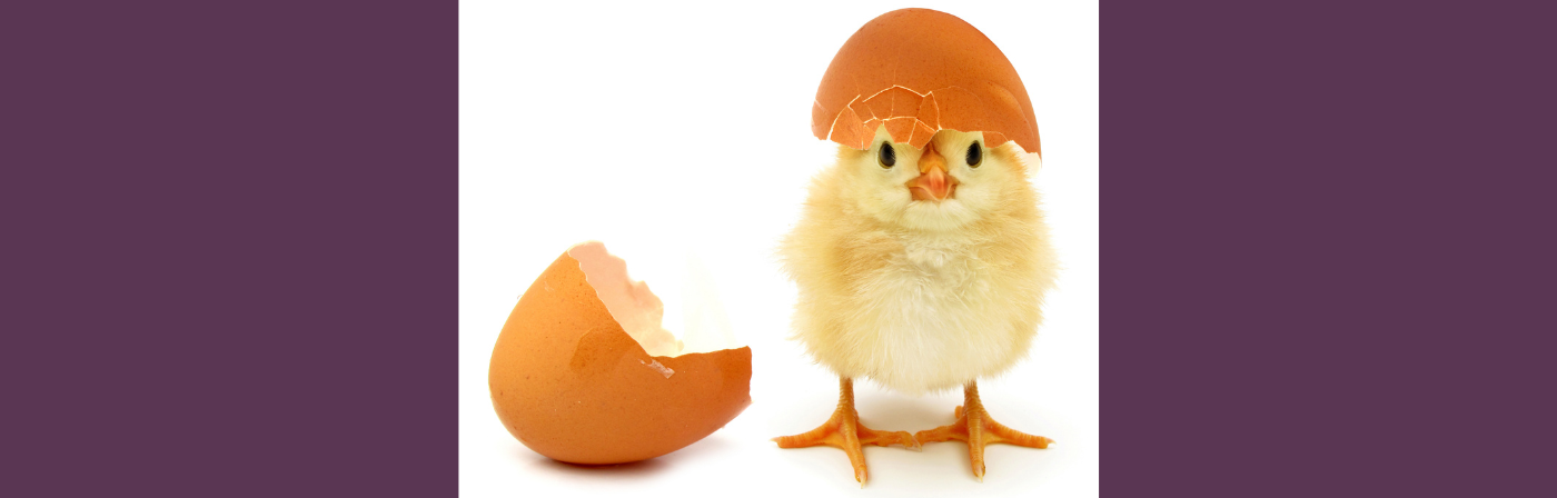 Chickens & Eggs | Horse Balance, Rider Balance