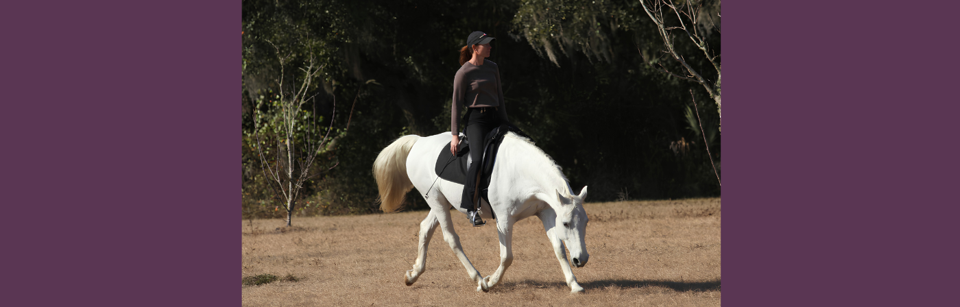 Brideless Riding