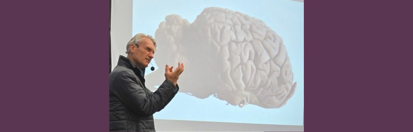 Horse Brain Science