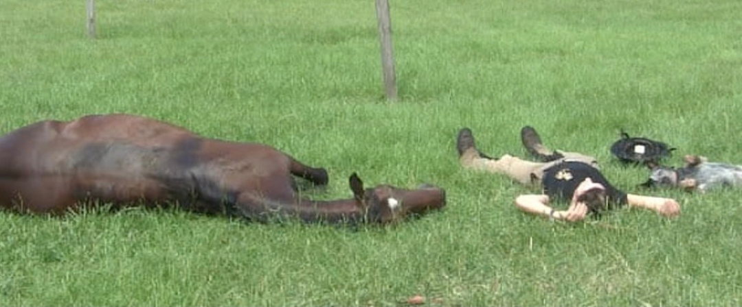 EP277: Equine Sleep Deprivation – Dr. Joseph Bertone DVM