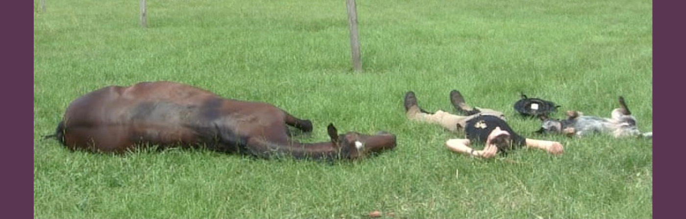 Equine Sleep Deprivation